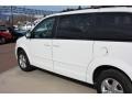 Stone White - Grand Caravan SE Photo No. 19
