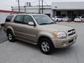 2007 Desert Sand Mica Toyota Sequoia SR5  photo #6