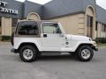 Stone White - Wrangler Sahara 4x4 Photo No. 8