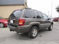 Taupe Frost Metallic - Grand Cherokee Limited 4x4 Photo No. 6