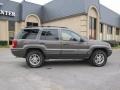 Taupe Frost Metallic - Grand Cherokee Limited 4x4 Photo No. 7