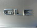 Sheer Silver - Maxima GLE Photo No. 24