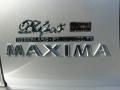 Sheer Silver - Maxima GLE Photo No. 26