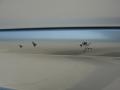 Sheer Silver - Maxima GLE Photo No. 32