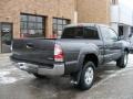 2010 Magnetic Gray Metallic Toyota Tacoma Access Cab 4x4  photo #3