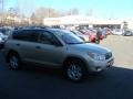 Savannah Metallic - RAV4 V6 4WD Photo No. 1