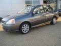 2004 Pewter Gray Kia Rio Sedan  photo #2