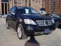 Capri Blue Metallic - ML 350 4Matic Photo No. 3