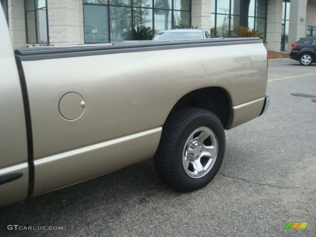 2004 Ram 1500 SLT Regular Cab - Light Almond Pearl / Taupe photo #20