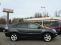 Flint Mica - RX 350 AWD Photo No. 1
