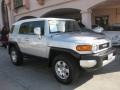 Titanium Metallic - FJ Cruiser 4WD Photo No. 1