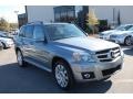 2010 Palladium Silver Metallic Mercedes-Benz GLK 350  photo #1