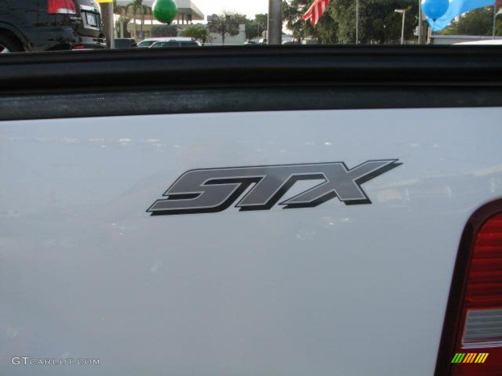 2004 Ford F150 STX Regular Cab Marks and Logos Photo #42060319