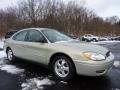 Gold Ash Metallic - Taurus SE Photo No. 1