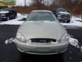 Gold Ash Metallic - Taurus SE Photo No. 2