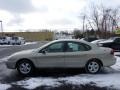 Gold Ash Metallic - Taurus SE Photo No. 4