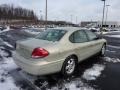 Gold Ash Metallic - Taurus SE Photo No. 10