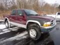 Dark Garnet Red Pearl Coat 2000 Dodge Dakota SLT Crew Cab 4x4