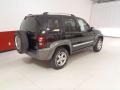 Black - Liberty Sport 4x4 Photo No. 4
