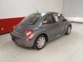 Platinum Grey - New Beetle 2.5 Coupe Photo No. 4