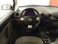 Platinum Grey - New Beetle 2.5 Coupe Photo No. 14