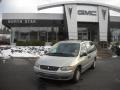 2000 Bright Silver Metallic Plymouth Grand Voyager   photo #1