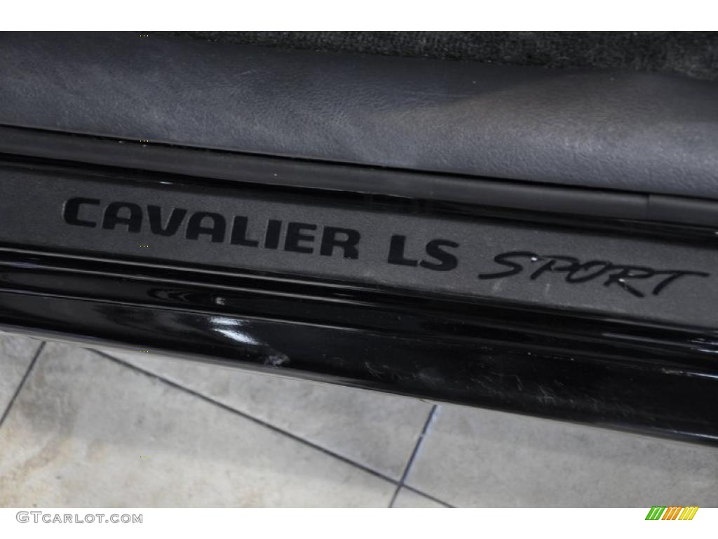 2004 Cavalier LS Sport Coupe - Black / Graphite photo #9