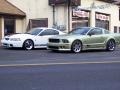2005 Legend Lime Metallic Ford Mustang Saleen S281 Coupe  photo #2