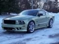 2005 Legend Lime Metallic Ford Mustang Saleen S281 Coupe  photo #9