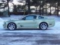 2005 Legend Lime Metallic Ford Mustang Saleen S281 Coupe  photo #10