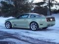 2005 Legend Lime Metallic Ford Mustang Saleen S281 Coupe  photo #12