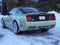 2005 Legend Lime Metallic Ford Mustang Saleen S281 Coupe  photo #14