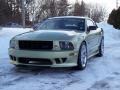 2005 Legend Lime Metallic Ford Mustang Saleen S281 Coupe  photo #16