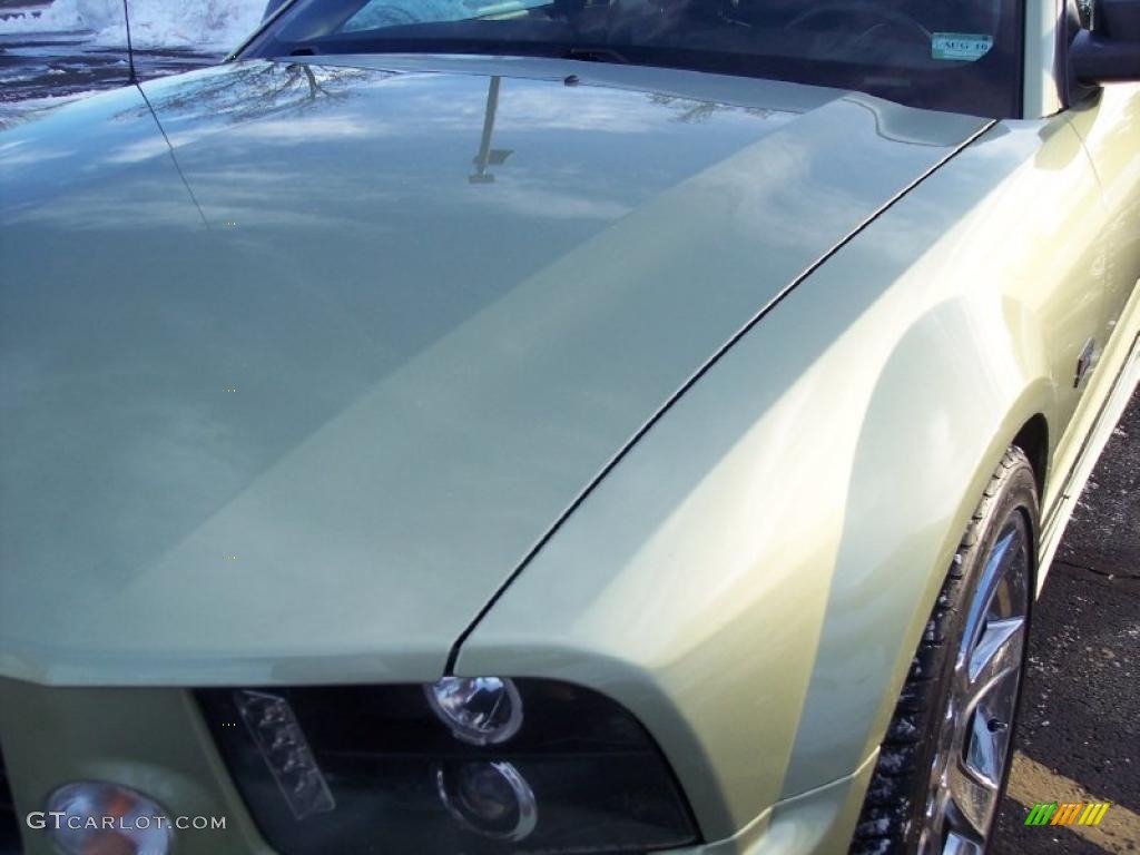 2005 Mustang Saleen S281 Coupe - Legend Lime Metallic / Dark Charcoal photo #22