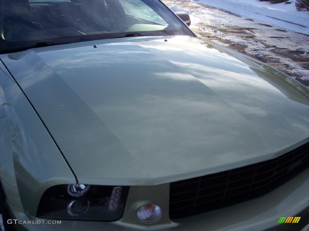 2005 Mustang Saleen S281 Coupe - Legend Lime Metallic / Dark Charcoal photo #23