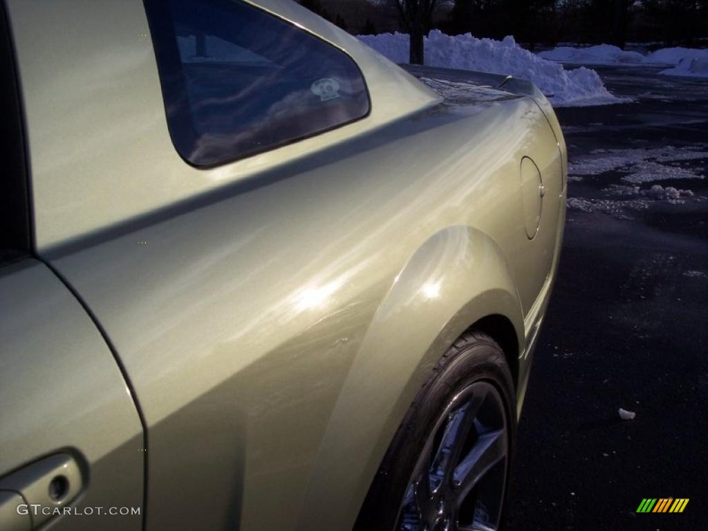 2005 Mustang Saleen S281 Coupe - Legend Lime Metallic / Dark Charcoal photo #30