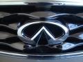 Platinum Graphite - FX 35 AWD Photo No. 24