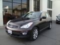 2008 Dark Currant Red Infiniti EX 35 Journey AWD  photo #1