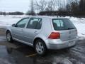 Reflex Silver Metallic - Golf GLS TDI Sedan Photo No. 4