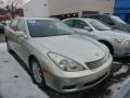 Millennium Silver Metallic - ES 330 Photo No. 5