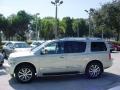 2008 Silver Indulgence Infiniti QX 56  photo #10