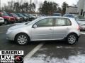 Reflex Silver Metallic - Rabbit 4 Door Photo No. 4