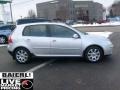 Reflex Silver Metallic - Rabbit 4 Door Photo No. 8