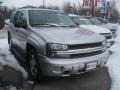 Silverstone Metallic - TrailBlazer LS 4x4 Photo No. 3
