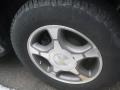 Silverstone Metallic - TrailBlazer LS 4x4 Photo No. 20