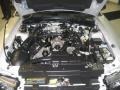 4.6 Liter SOHC 16-Valve V8 Engine for 2001 Ford Mustang GT Convertible #42107121