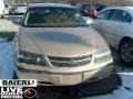 Light Driftwood Metallic - Impala  Photo No. 2