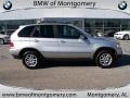 Titanium Silver Metallic - X5 3.0i Photo No. 2