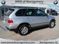 Titanium Silver Metallic - X5 3.0i Photo No. 3