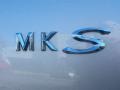 Gold Leaf Metallic - MKS FWD Photo No. 9